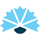 Kokoomus